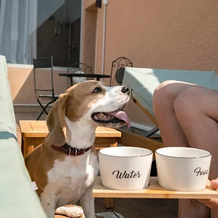 Surplage Cavaliere 勒拉旺杜