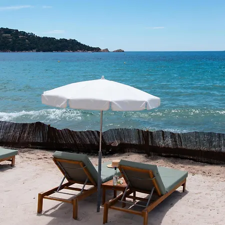 Surplage Cavaliere Le Lavandou